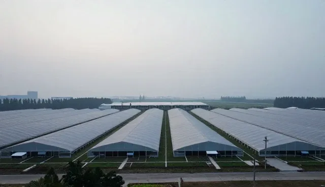 短视频拍摄中用户互动的两种做法及实际取舍